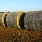 Bales stored outdoors - John Deere B-Wrap®