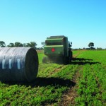 Hay, Silage and straw