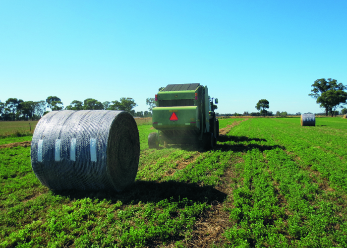 Hay, Silage and straw