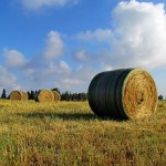 John Deere B-Wrap® Bale Netwrap