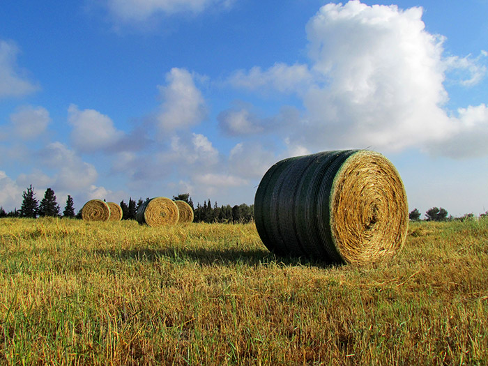 John Deere B-Wrap® Bale Netwrap