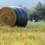 Bales stored outdoors - John Deere B-Wrap®