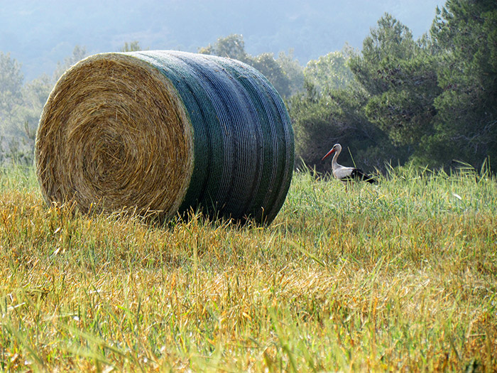 Bales stored outdoors - John Deere B-Wrap®