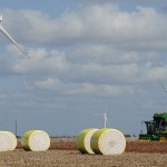 Cotton Harvesting