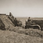 Hay Silage