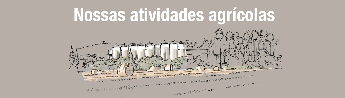 Atividades agrícolas