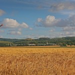 Hay Silage Straw Field Crops