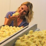 Poultry Chick