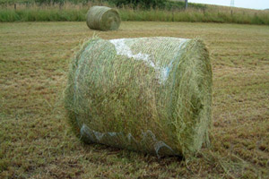 Bad Bale Wrapping