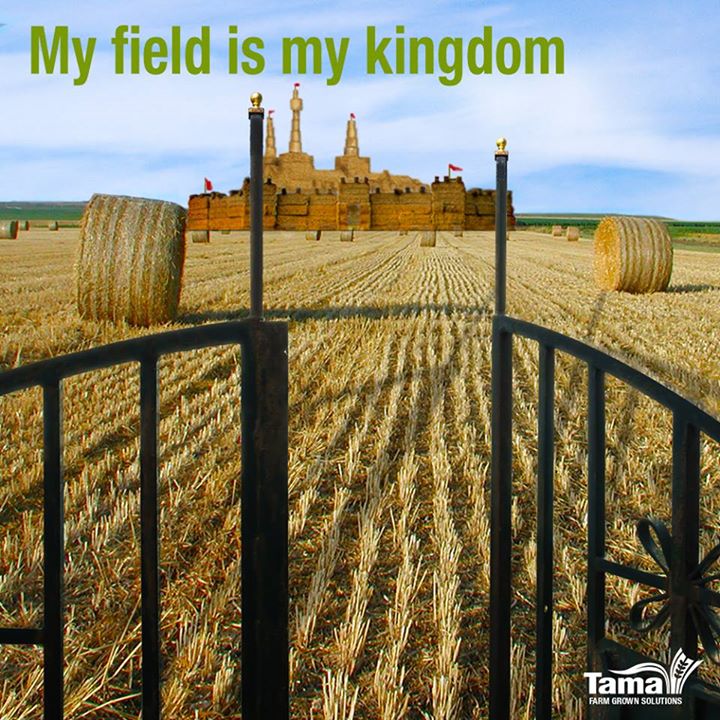 My field is my kingdom