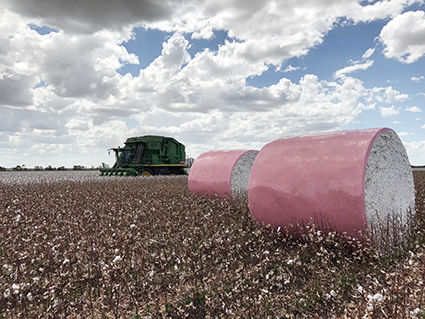 2 Pink bales