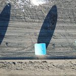 3 blue wraps