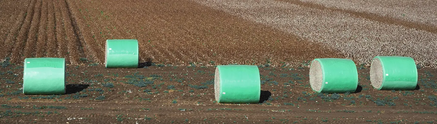 Tama Teal™